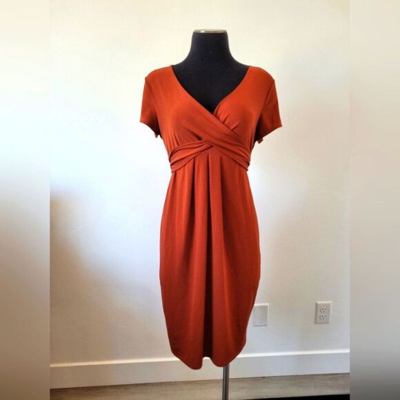 Liz Lange Maternity Dress Burnt Orange Wrap Jersey Midi Comfy Pregnancy Small - Picture 1 of 8
